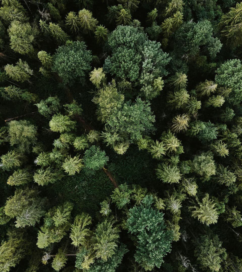 Bouwbedrijf Middelweerd voor uw, interieur, nieuwbouw, verbouw en renovatie.